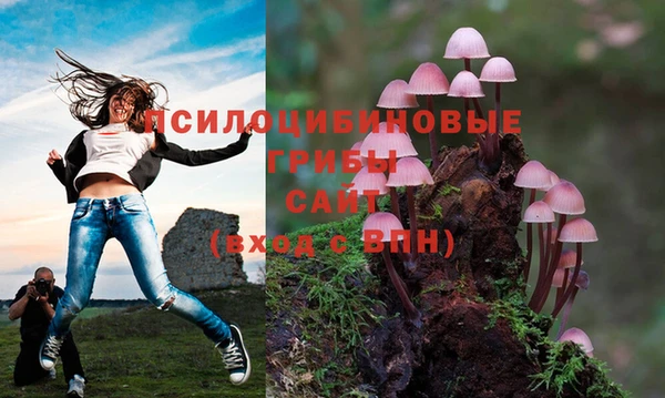 гидропоника Аркадак